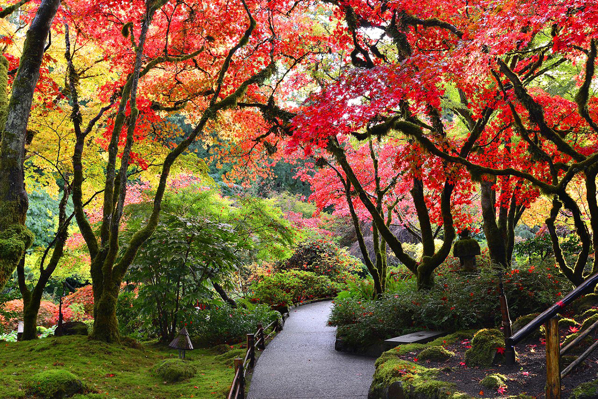 Butchart Gardens in the fall